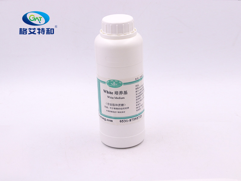 White培養基(不含瓊脂含蔗糖)