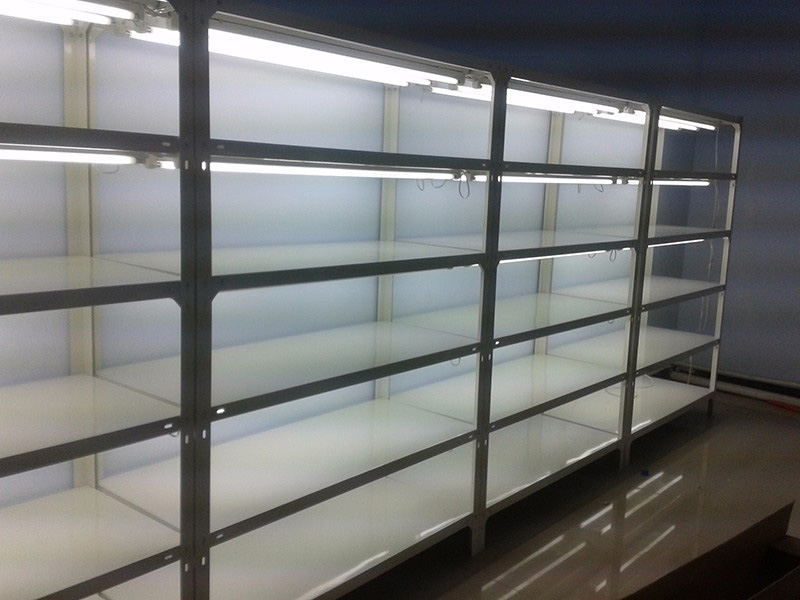 萊蕪雪野農博園項目