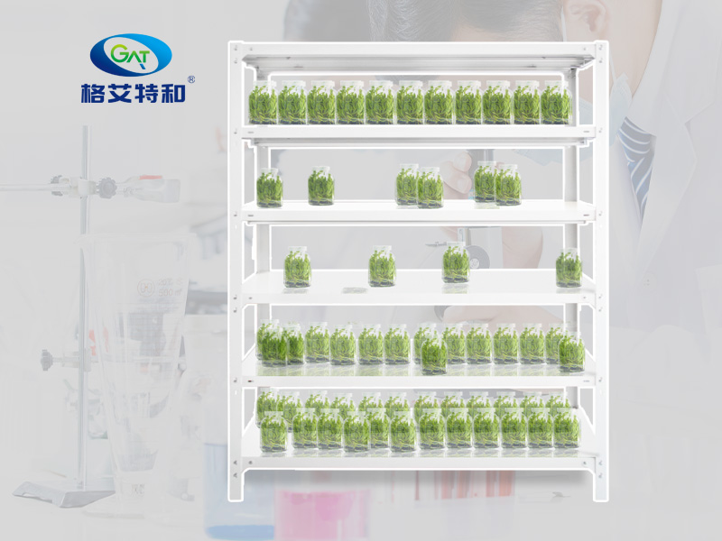 組培設備 組培設備