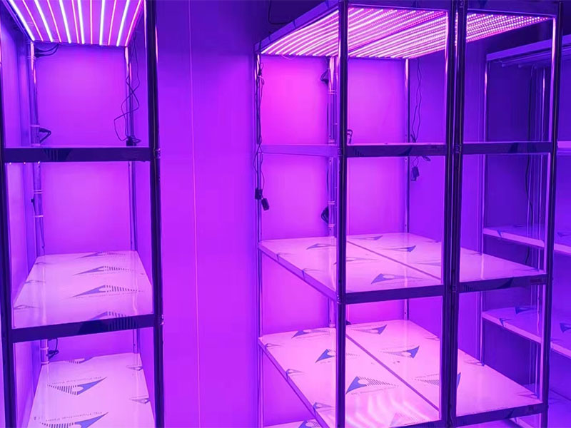 光照強度可調組培架