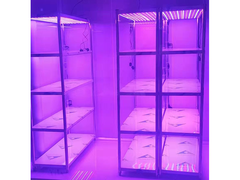 光照強度可調組培架視頻