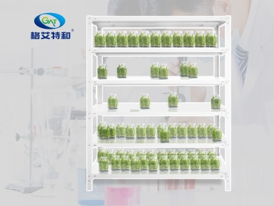 層板式培養(yǎng)架