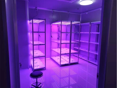 可調光譜組培架視頻