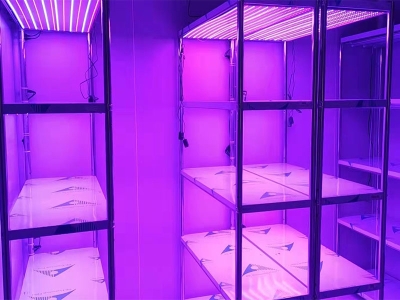 光照強度可調組培架