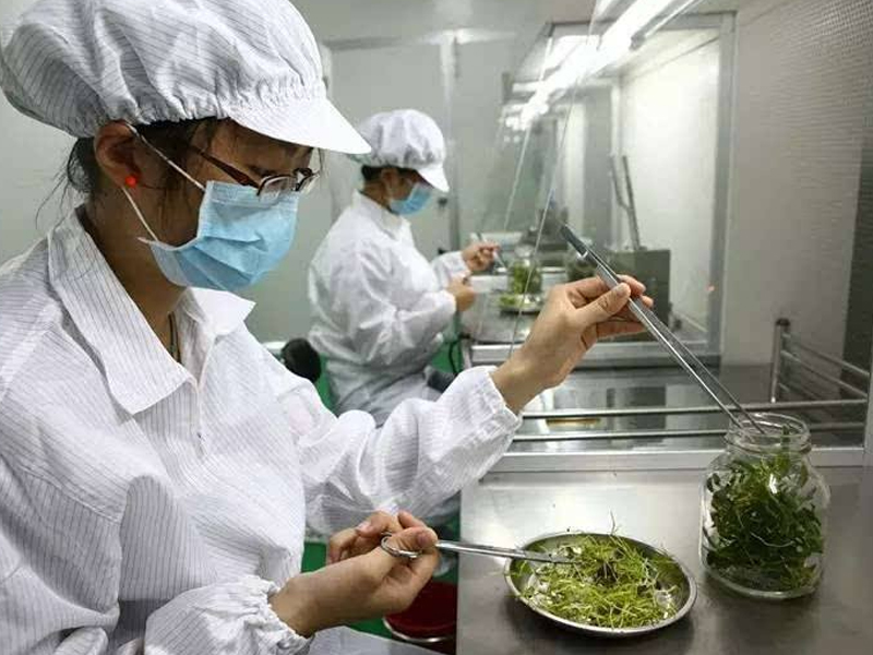 植物組織培養,組培儀器