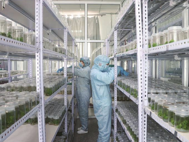 組培室11 組培室11