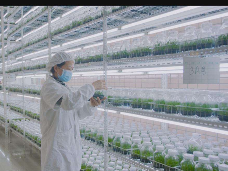 組培室10 組培室10