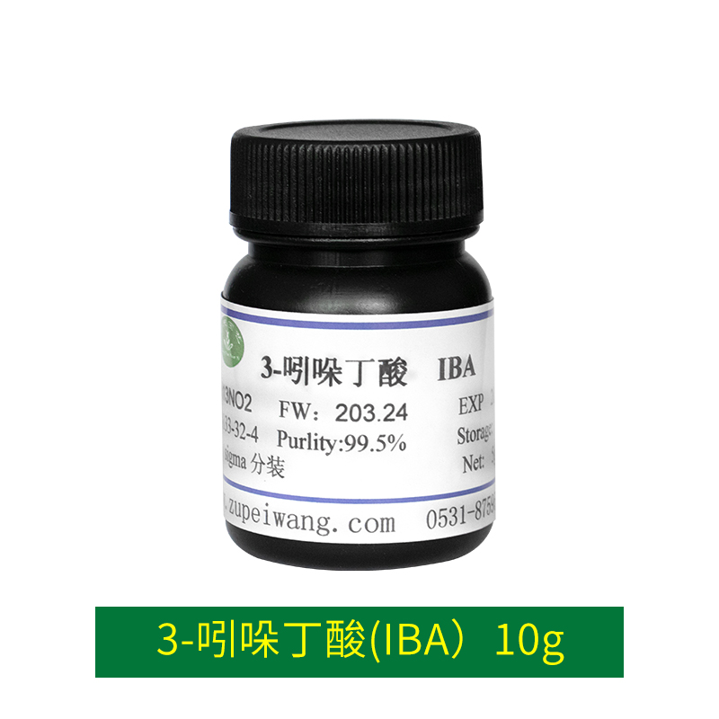 3-吲哚丁酸(IBA）10g
