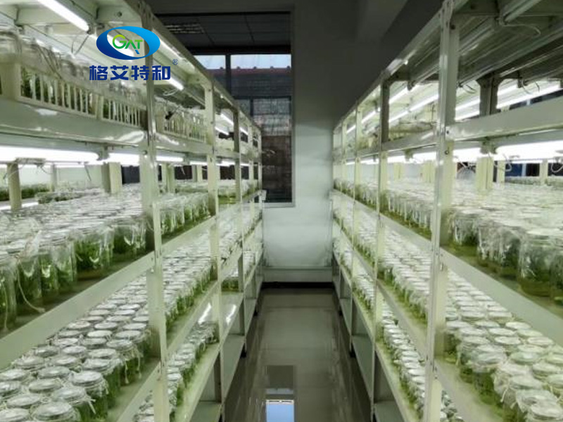 組培設備 組培設備