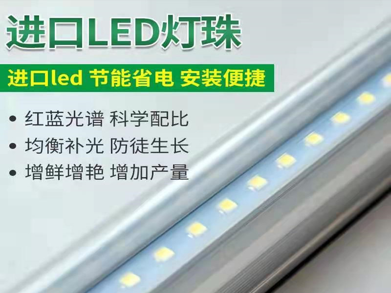 組培燈