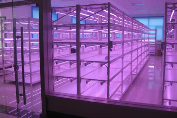 組培架 組培架