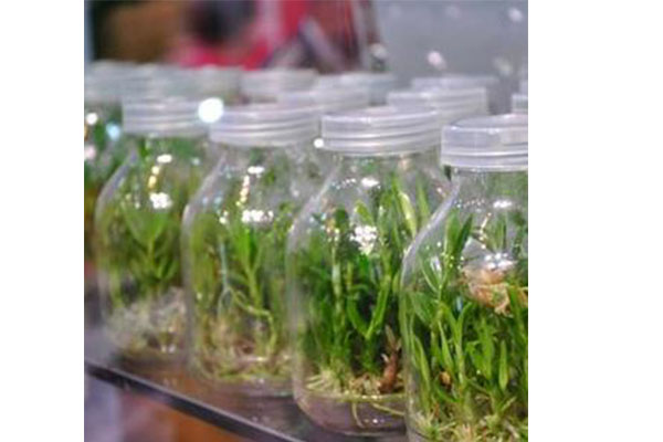 組培設備 組培設備