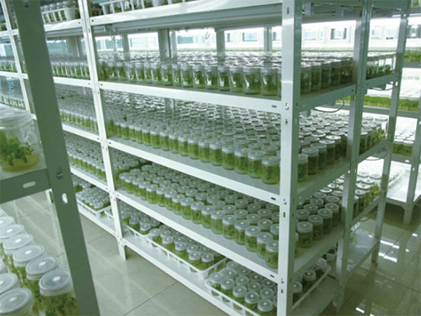 培養基灌裝機 培養基灌裝機