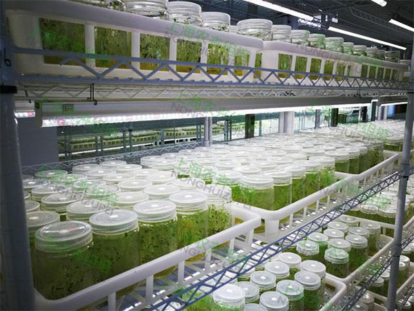 組培設(shè)備 組培設(shè)備