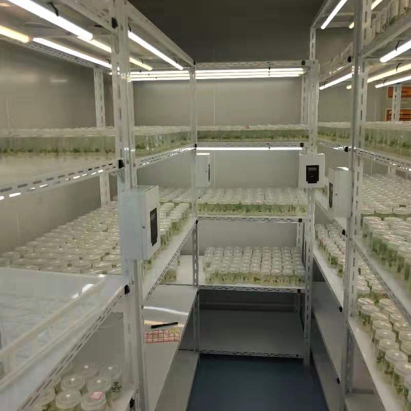 組培儀器 組培儀器