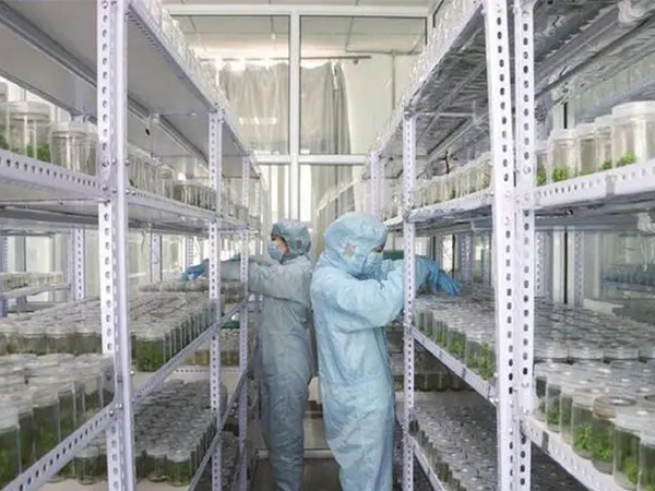 組培設計建設公司 組培設計建設.公司