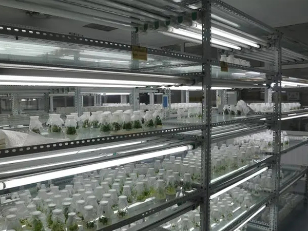 組培室建設設計