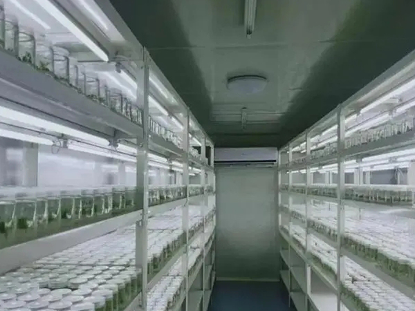 組培室設計 組培室設計