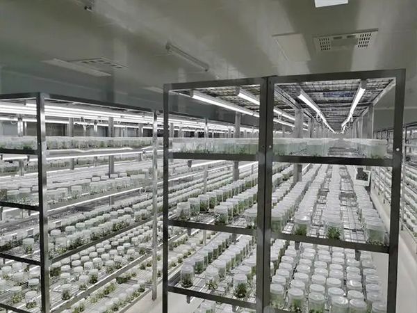 組培架廠家 組培架廠家