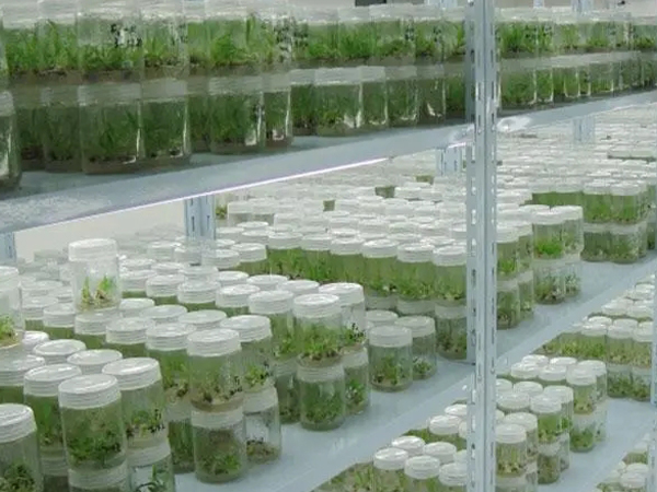 組培室設計公司 組培室設計公司